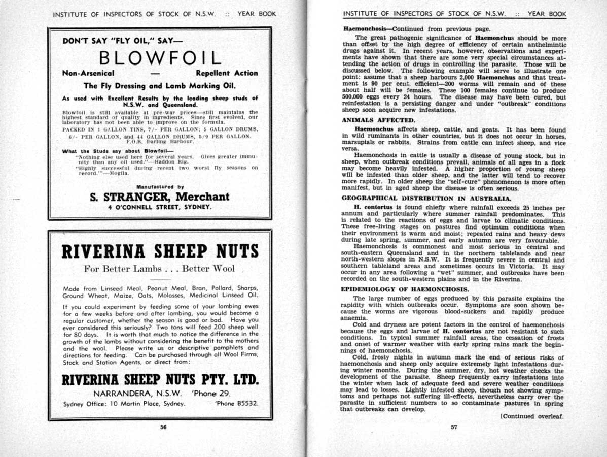 1941 Page 56 57